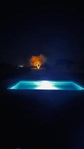 a swimming pool at night with a tree in the background at Villa a la montagne Hammamet in Hammamet