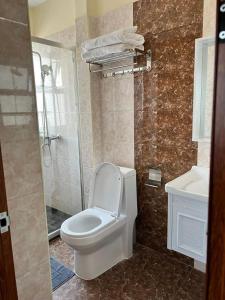 a bathroom with a toilet and a shower and a sink at Studio Apartment in Nairobi