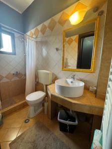 a bathroom with a sink and a toilet and a mirror at Forest trikala view in Tríkala