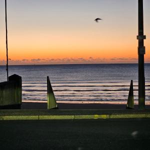 a bird flying over the ocean at sunset at Redcar Seaview Apartments in Redcar