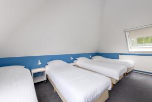 a row of four beds in a room with a window at Summio Vakantiepark It Wiid in Earnewâld +10 photos