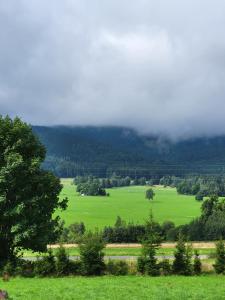 Komfortowy dom z bali koło Zieleńca z widokiem na góry في Lasowka: حقل أخضر مع الأشجار والغيوم في الخلفية