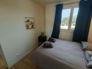 a bedroom with a bed with blue curtains and a window at Le Yellow Corner - Place Ney in Angers