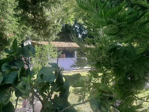 - une vue sur une maison à travers les arbres dans l'établissement Casale Neocastrum, à Lamezia Terme
