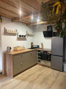 Kuchyňa alebo kuchynka v ubytovaní Jaśkowa Chata Bieszczady apartament z basenem