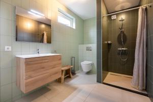 a bathroom with a sink and a shower and a toilet at Summio Havenresort Terherne in Terherne