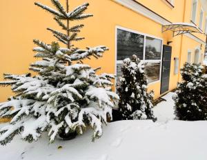 Apartament Słoneczne Okno v zime