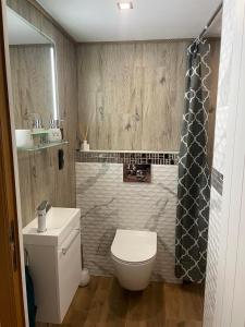 Kúpeľňa v ubytovaní Jaśkowa Chata Bieszczady apartament z basenem