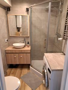 uma casa de banho com um chuveiro, um lavatório e um WC. em Gallusa Apartament em Katowice