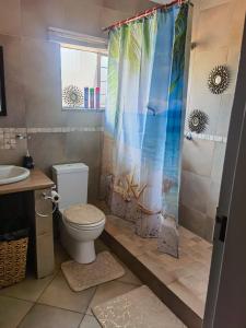 a bathroom with a shower with a toilet and a sink at Mimosa's @ 44 in Roodepoort