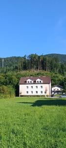 Sankt Aegyd am Neuwalde的住宿－City Leaves Apartments，田野中间的白色大建筑