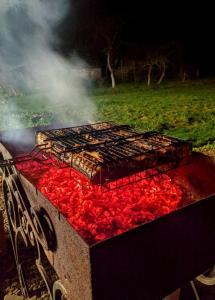 grill z masą mięsa na nim w obiekcie "Глиняна хатинка" w mieście Beloberëzka