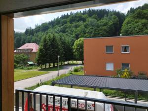 Nespecifikovaný výhled na hory nebo výhled na hory při pohledu z apartmánu