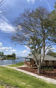 ヘーグにあるWaterherberg It Beakenの水辺の木のある家