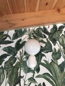 Foto dalla galleria di Waka Sun Set PICO AZORES a São Roque do Pico Altre 16 foto