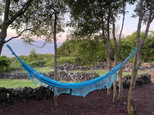 una hamaca azul colgando de los árboles cerca del océano en WAKA PICO AZORES, en São Roque do Pico