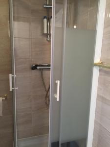 a shower with a glass door in a bathroom at South Dublin Flat near Killiney Beach! in Loughlinstown