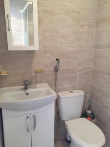 a bathroom with a toilet and a sink and a mirror at South Dublin Flat near Killiney Beach! in Loughlinstown