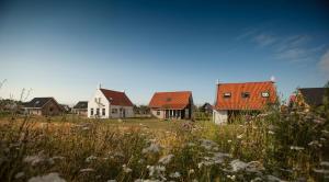 a group of houses in a field with flowers at Dormio Strand Resort Nieuwvliet-Bad in Nieuwvliet