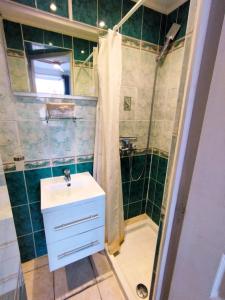 łazienka z umywalką i prysznicem w obiekcie Charming Studio ideal for Congresses and Holidays LIVE IN GAZAGNAIRE w Cannes