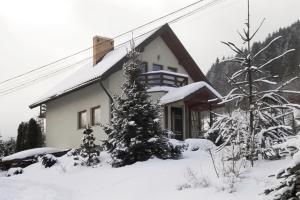uma casa coberta de neve com árvores em frente em Dom wśród Modrzewi em Uście Gorlickie
