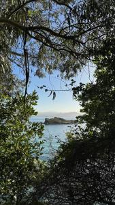 坎加斯德穆拉索的住宿－"A Marosa", bonito chalet dúplex，透过树木看到水体