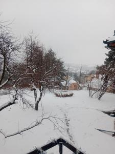 a snow covered field with trees and a house at Apartmani Ostojic in Vrdnik