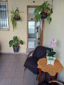 Paradise Suite Master 30mts2 quadrados في ساو باولو: غرفة معيشة مع أريكة وطاولة مع نباتات الفخار