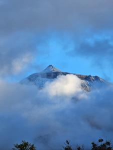 Billede fra billedgalleriet på Waka Sun Rise Pico Azores i Cais do Pico