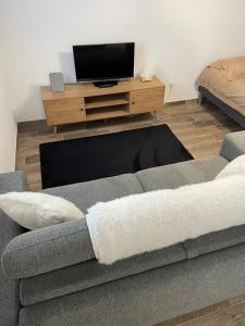 TV a/nebo společenská místnost v ubytování Studio bien situé & tout équipé dans une maison