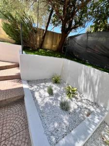 a garden with plants in a white wall at Casa Vacanze Padru in Padru