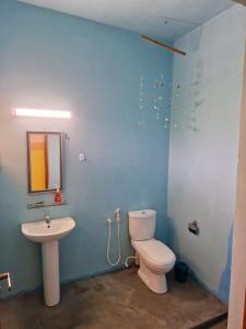 uma casa de banho com um WC e um lavatório em Nature Paradise Guesthouse em Wayikkal