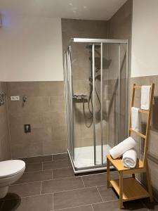 a bathroom with a shower and a toilet at BRAN: Design - Apartment Küche, Parken ,Netflix in Bad Rothenfelde