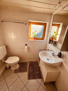 a bathroom with a sink and a toilet and a mirror at Sanders Ferienhaus in Winsen Aller