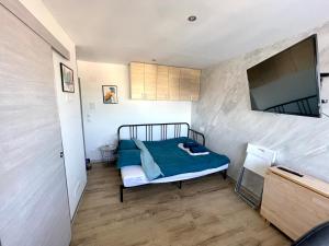a small bedroom with a bed and a flat screen tv at The Studio Wilson - Mulhouse Station in Mulhouse