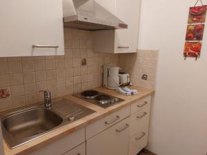 een keuken met een wastafel en een koffiezetapparaat bij Apartment Landhaus St- Georg-5 by Interhome in Bad Gastein
