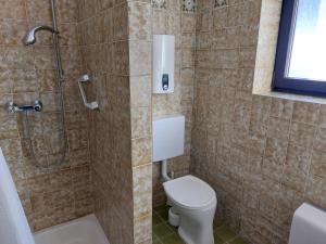 een badkamer met een toilet en een douche bij Apartment Landhaus St- Georg-5 by Interhome in Bad Gastein