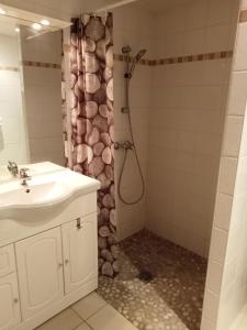 a bathroom with a sink and a shower at Gîte du Portail Vert in Codognan