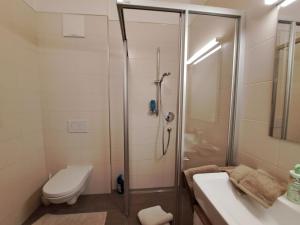 uma casa de banho com um chuveiro, um WC e um lavatório. em Apartment Margret- Top 12 by Interhome em Gagering