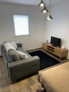 a living room with a couch and a television at Studio bien situé & tout équipé dans une maison in Scionzier