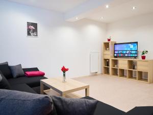 a living room with a couch and a tv at Apartment U Dzina-2 by Interhome in Polubný