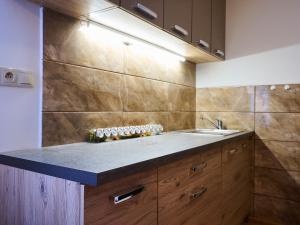 Kuchyň nebo kuchyňský kout v ubytování Holiday Home Chaloupka U lesa by Interhome + 22 fotografií