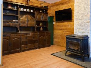 a living room with a stove and a television at Holiday Home Chaloupka U lesa by Interhome in Harrachov