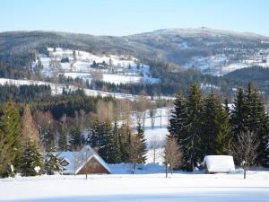 a house in the snow with trees and mountains at Holiday Home Hoja 2 by Interhome in Vítkovice