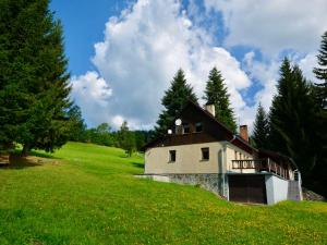 a house on the side of a grassy hill at Holiday Home Hoja 2 by Interhome in Vítkovice +26 photos