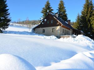 a house covered in snow with trees in the background at Holiday Home Hoja 2 by Interhome in Vítkovice