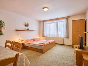 a bedroom with a bed and a television in it at Villa Villa Jana by Interhome in Svoboda nad Úpou