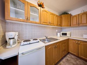a kitchen with wooden cabinets and a white appliance at Villa Villa Jana by Interhome in Svoboda nad Úpou +46 photos