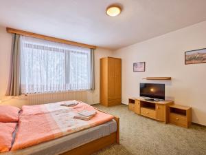 een slaapkamer met een bed en een flatscreen-tv bij Villa Svoboda nad Úpou by Interhome in Svoboda nad Úpou