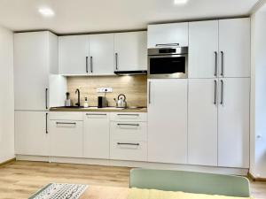 Kuchyňa alebo kuchynka v ubytovaní Apartment Port Jáchymov-2 by Interhome